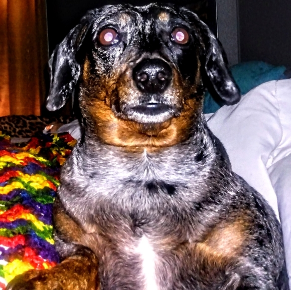 BOUTIQUE *BRAND NEW* "PRICED TO SELL" 5 STAR SELLER - Picture 2 of 2